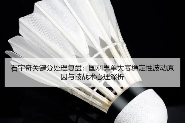 shi-yu-qi-guan-jian-fen-chu-li-fu-pan-guo-yu-nan-dan-da-sai-wen-ding-xing-bo-dong-yuan-yin-yu-ji-zhan-shu-xin-li-shen-xi-2-925.jpg